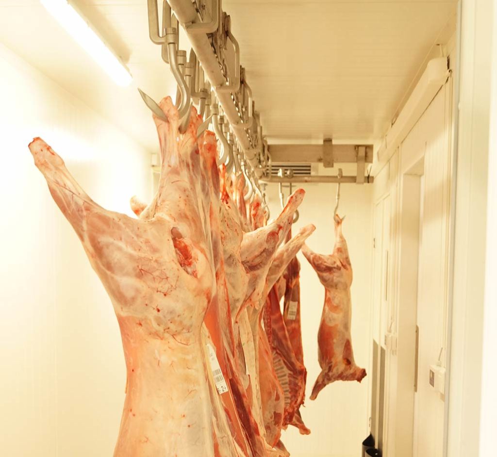 Cleaning Services for Butchers