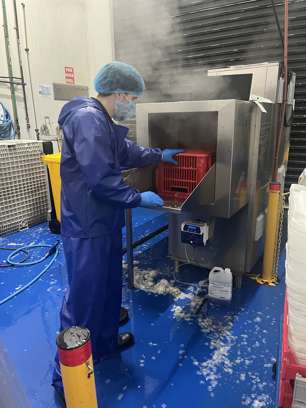 Fish Factory Cleaning